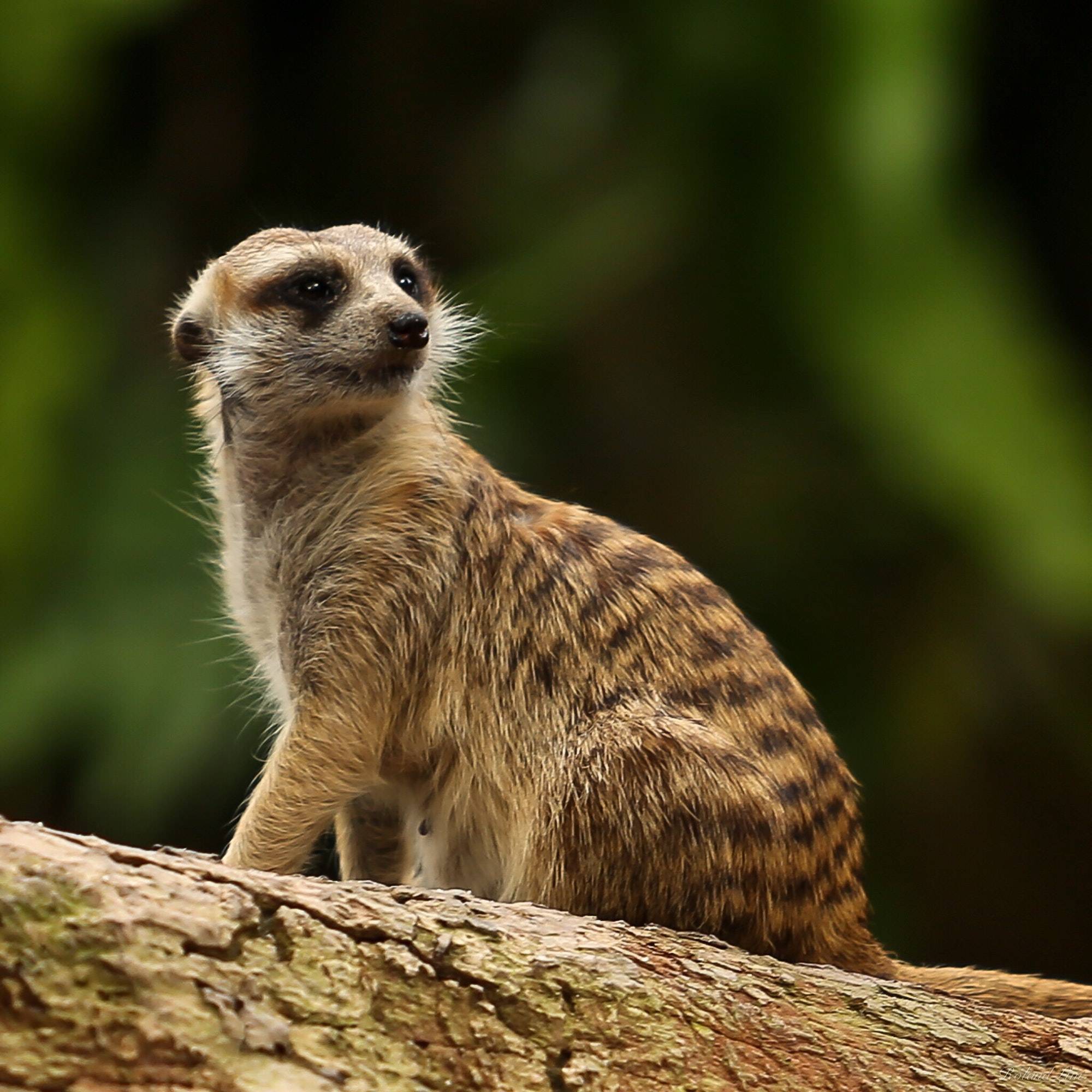 hey what are you looking at