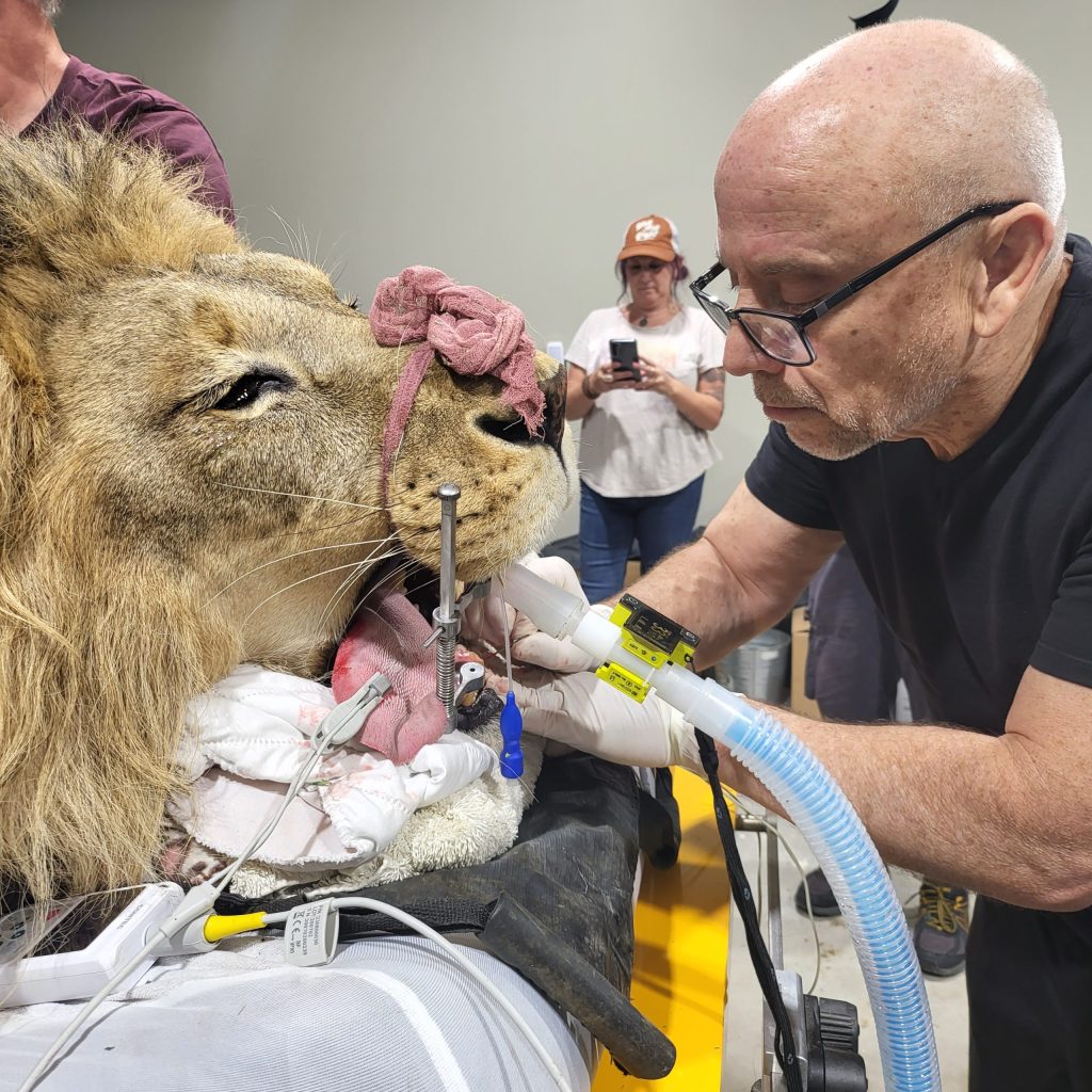 wildlife veterinary care