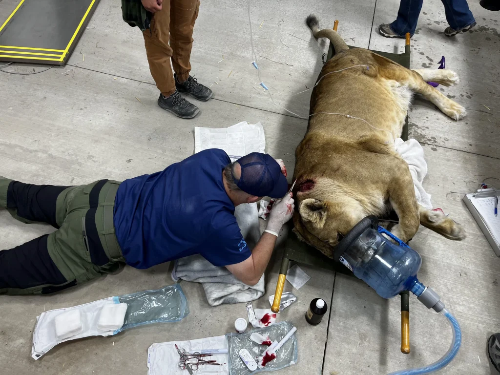 emergency veterinary care centers